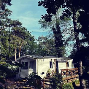 Knus chalet midden in de bossen